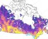 Sólo el 2% de la tierra sería suficiente para proteger la mitad de las zonas inundables habitadas