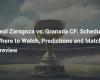 Real Zaragoza vs. Granada CF: Horario, retransmisión, predicciones y previa al partido