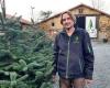 Le sapin de Vendée, una microindustria que apuesta por la calidad y la ultraproximidad