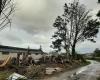 Once árboles centenarios arrancados de raíz por la tormenta de Darragh en este municipio de Côtes-d’Armor