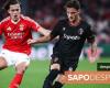 Lo que dijeron los jugadores del Benfica tras el empate con el Bolonia – Champions League