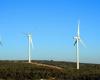 France Nature Environnement lleva a EDF ante los tribunales por la muerte de cientos de halcones al pie de los aerogeneradores de Aumelas