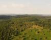 Doce habitantes por km². El parque natural regional de Millevaches, este “territorio rural atractivo pero frágil”, según el INSEE