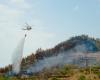 Entidades andaluzas colaboran para prevenir y combatir incendios forestales