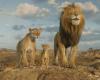 Mufasa – El Rey León “chirría pero no ruge”. La descolorida precuela de la franquicia de Disney está en la sala para las vacaciones