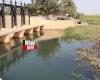 La proliferación de plantas invasoras, una amenaza para la pesca.