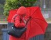 Fuertes vientos: Maine-et-Loire y Deux-Sèvres en alerta a partir de mañana domingo.