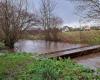 Región de Obernai. Se registraron inundaciones en varios lugares el domingo por la mañana tras las fuertes lluvias