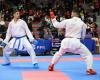 Karate Copa de Francia en Lille