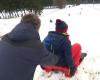 “Salta, vámonos”: los niños, empujados en su trineo por nuestro periodista, disfrutan de la nieve en Hautes-Fagnes