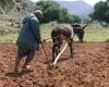 un aumento para los sectores agrícola y no agrícola