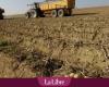 “Tenemos que cambiar el sistema si queremos seguir cultivando patatas en Bélgica”