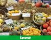 En 2024, los precios mundiales de los alimentos caerán un 2%, estos son los productos afectados