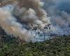 La Amazonia brasileña sufre los incendios más numerosos en 17 años: ¿qué significa eso?