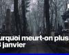 Por qué el 3 de enero es el día… en el que muere más gente en Francia