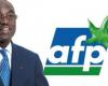 Racionalización de partidos: AFP aporta soluciones