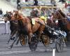 Jack Tonic gana el Quinté Prix de Lille en Vincennes