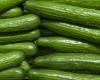 ¡El pepino marroquí es un éxito en España! + 182,5% en cinco años – AgriMaroc.ma