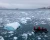 Después de un derretimiento récord, la plataforma de hielo de la Antártida recupera fuerza, observan los científicos