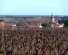 Este viñedo pronto se verá reducido en un 10% de su superficie por una línea de alta velocidad