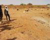 ¿Por qué los terroristas atacan a Nioro en Mali? – DW – 10/01/2025