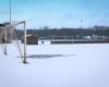 Cancelación del fútbol de Limburgo los días 11 y 12 de enero de 2025 (Beringen)