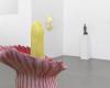 Genevoise Mai-Thu Perret expone en la galería Mezzanin