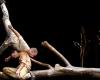 “Pour Hêtre”, un espectáculo de danza y circo en trío en Lavelanet-Culture