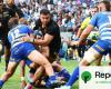 El despropósito ecológico del rugby europeo