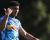 Springboks: la preocupante actualización de Feinberg-Mngomezulu después del ‘riesgo’ de Stormers : Planet Rugby