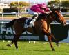 13/01 en Cagnes-sur-Mer – Premio Albert Taton: Arrow Eagle en vigor