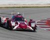 Albuquerque con Habsburg en Nielsen Racing en ELMS