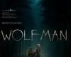 Películas imprescindibles sobre hombres lobo sobre Peacock Before Wolf Man