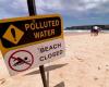 La ciudad de Sídney prohíbe el acceso a nueve playas tras la aparición de misteriosas bolitas