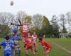 El Rugby Club Poitiers Ouest recibe un golpe en la cabeza