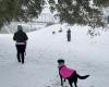 Una rara tormenta de nieve azota Texas