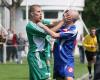 Fútbol amateur. Un partido en el distrito de Ariège termina en una pelea general, los líderes de uno de los dos clubes expresan su insatisfacción