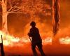 Bomberos que luchan con grandes incendios de arbustos